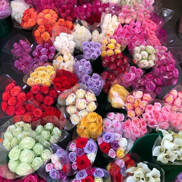 Meet your Posher, Kate - Picture 1 of 1